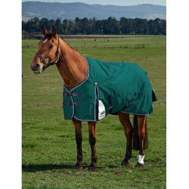 Cobertura Weatherbeeta ComFiTec Plus Dynamic Turnout 220g Verde floresta / azul-marinho Cobertura Weatherbeeta ComFiTec Plus Dynamic Turnout 220g Verde floresta / azul-marinho