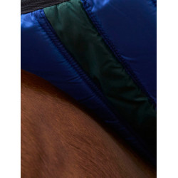 Cobertura Weatherbeeta ComFiTec Plus Dynamic Turnout 220g Verde floresta / azul-marinho