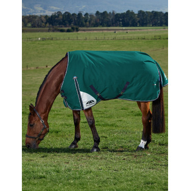 Cobertura Weatherbeeta ComFiTec Plus Dynamic Turnout 220g Verde floresta / azul-marinho Cobertura Weatherbeeta ComFiTec Plus Dynamic Turnout 220g Verde floresta / azul-marinho