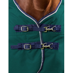 Cobertura Weatherbeeta ComFiTec Plus Dynamic Turnout 220g Verde floresta / azul-marinho