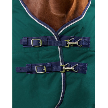 Cobertura Weatherbeeta ComFiTec Plus Dynamic Turnout 220g Verde floresta / azul-marinho Cobertura Weatherbeeta ComFiTec Plus Dynamic Turnout 220g Verde floresta / azul-marinho