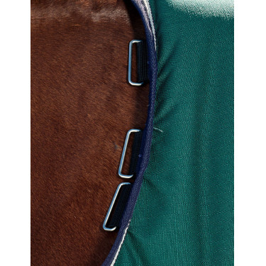 Cobertura Weatherbeeta ComFiTec Plus Dynamic Turnout 220g Verde floresta / azul-marinho Cobertura Weatherbeeta ComFiTec Plus Dynamic Turnout 220g Verde floresta / azul-marinho