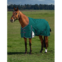 Cobertor Weatherbeeta ComFiTec Plus Dynamic Turnout 100g Verde floresta / azul-marinho