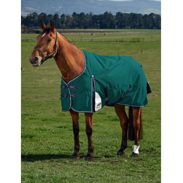 Cobertor Weatherbeeta ComFiTec Plus Dynamic Turnout 100g Verde floresta / azul-marinho Cobertor Weatherbeeta ComFiTec Plus Dynamic Turnout 100g Verde floresta / azul-marinho