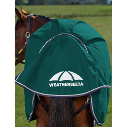 Cobertor Weatherbeeta ComFiTec Plus Dynamic Turnout 100g Verde floresta / azul-marinho Cobertor Weatherbeeta ComFiTec Plus Dynamic Turnout 100g Verde floresta / azul-marinho