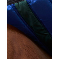Cobertor Weatherbeeta ComFiTec Plus Dynamic Turnout 100g Verde floresta / azul-marinho
