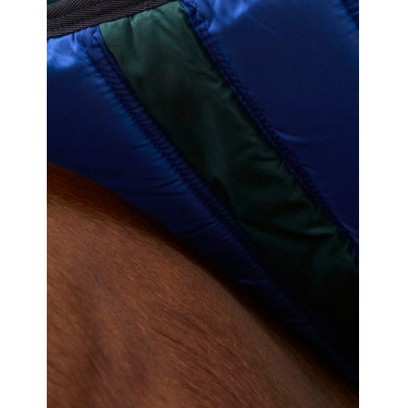 Cobertor Weatherbeeta ComFiTec Plus Dynamic Turnout 100g Verde floresta / azul-marinho Cobertor Weatherbeeta ComFiTec Plus Dynamic Turnout 100g Verde floresta / azul-marinho