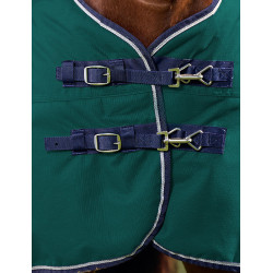 Cobertor Weatherbeeta ComFiTec Plus Dynamic Turnout 100g Verde floresta / azul-marinho Cobertor Weatherbeeta ComFiTec Plus Dynamic Turnout 100g Verde floresta / azul-marinho