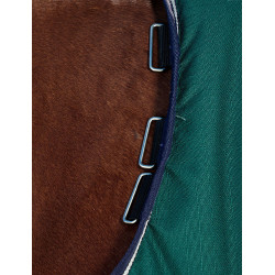 Cobertor Weatherbeeta ComFiTec Plus Dynamic Turnout 100g Verde floresta / azul-marinho Cobertor Weatherbeeta ComFiTec Plus Dynamic Turnout 100g Verde floresta / azul-marinho