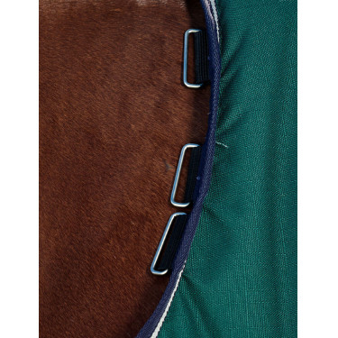 Cobertor Weatherbeeta ComFiTec Plus Dynamic Turnout 100g Verde floresta / azul-marinho Cobertor Weatherbeeta ComFiTec Plus Dynamic Turnout 100g Verde floresta / azul-marinho