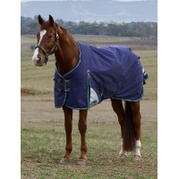 Cobertor Weatherbeeta ComFiTec Plus Dynamic Turnout 100g Verde floresta / azul-marinho
