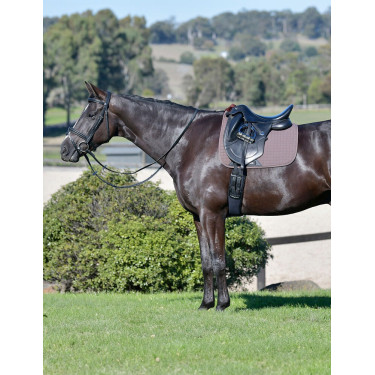 Manta de adestramento Weatherbeeta Prime Comfy Fleece Castanho