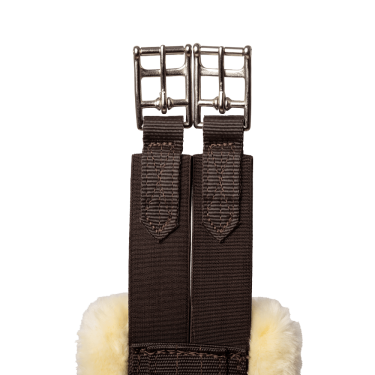 Cinta de carneiro Kentucky Castanho Cinta de carneiro Kentucky Castanho