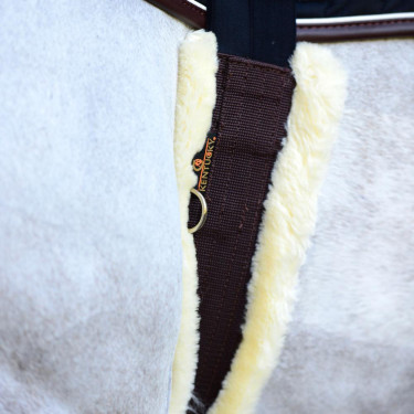 Cinta de carneiro Kentucky Castanho Cinta de carneiro Kentucky Castanho