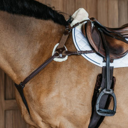 Peitoral de 5 pontos com elásticos New English Collection Dy'on Castanho Peitoral de 5 pontos com elásticos New English Collection Dy'on Castanho