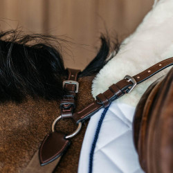 Peitoral de 5 pontos com elásticos New English Collection Dy'on Castanho Peitoral de 5 pontos com elásticos New English Collection Dy'on Castanho