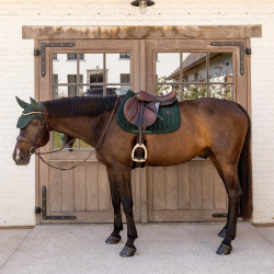 Capuz anti-moscas Kentucky Wellington Velvet Mini Pérolas Verde pinho