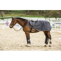 Cobre-rins Equithème Tyrex 1200 D forrado com polar Cinza / laranja Cinzento Cobre-rins Equithème Tyrex 1200 D forrado com polar Cinza / laranja Cinzento