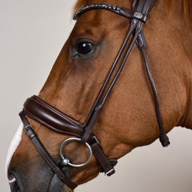 Bridão com muserola larga em couro macio Dy'on Castanho Bridão com muserola larga em couro macio Dy'on Castanho