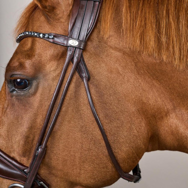 Bridão com muserola larga em couro macio Dy'on Castanho Bridão com muserola larga em couro macio Dy'on Castanho