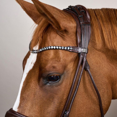 Bridão com muserola larga em couro macio Dy'on Castanho Bridão com muserola larga em couro macio Dy'on Castanho