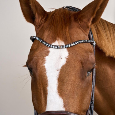 Bridão com muserola larga em couro macio Dy'on Castanho Bridão com muserola larga em couro macio Dy'on Castanho