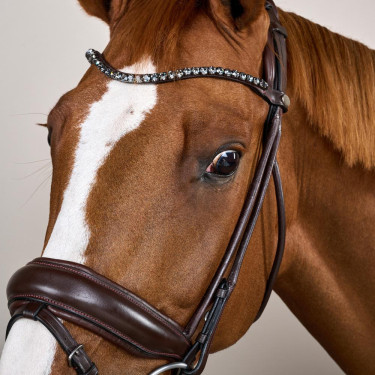 Bridão com muserola larga em couro macio Dy'on Castanho Bridão com muserola larga em couro macio Dy'on Castanho