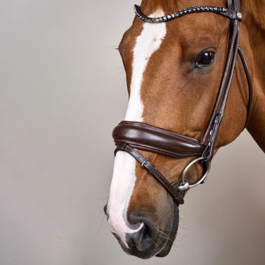 Bridão com muserola larga em couro macio Dy'on Castanho Bridão com muserola larga em couro macio Dy'on Castanho