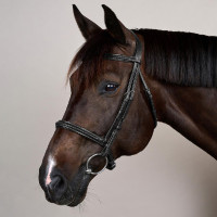Bridão com Noseband Trançado sem Barbilhão Dy'on New English Preto Bridão com Noseband Trançado sem Barbilhão Dy'on New English Preto