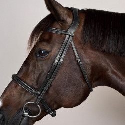Bridão com Noseband Trançado sem Barbilhão Dy'on New English Preto Bridão com Noseband Trançado sem Barbilhão Dy'on New English Preto