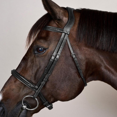 Bridão com Noseband Trançado sem Barbilhão Dy'on New English Preto Bridão com Noseband Trançado sem Barbilhão Dy'on New English Preto
