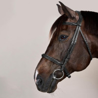 Bridão com Noseband Trançado sem Barbilhão Dy'on New English Preto Bridão com Noseband Trançado sem Barbilhão Dy'on New English Preto