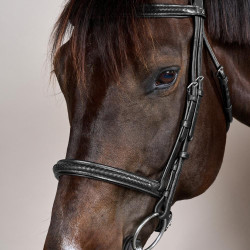 Bridão com Noseband Trançado sem Barbilhão Dy'on New English Preto Bridão com Noseband Trançado sem Barbilhão Dy'on New English Preto