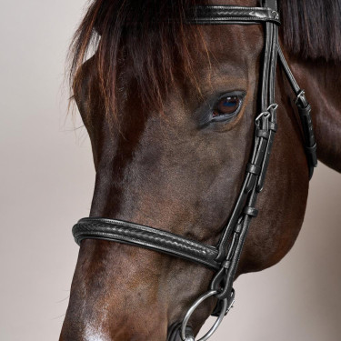 Bridão com Noseband Trançado sem Barbilhão Dy'on New English Preto Bridão com Noseband Trançado sem Barbilhão Dy'on New English Preto