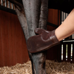 Luva de Grooming em Borracha Grooming Deluxe by Kentucky Castanho Luva de Grooming em Borracha Grooming Deluxe by Kentucky Castanho