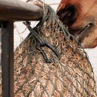 Mousquetão de Alumínio Safety Grooming Deluxe da Kentucky Preto