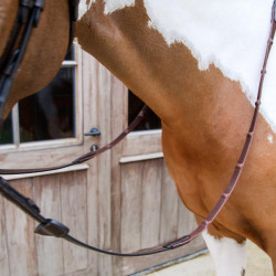 Rendas de borracha Dy’on 1/2 com 7 passadores integrados Castanho Rendas de borracha Dy’on 1/2 com 7 passadores integrados Castanho
