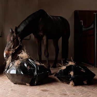 Saco de Feno Play & Slowfeeder Redondo Grooming Deluxe da Kentucky Preto