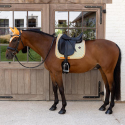 Sela Kentucky Velvet Dressage Printing Colorido Sela Kentucky Velvet Dressage Printing Colorido