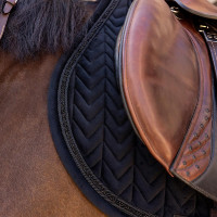 Manta de sela Kentucky Velvet Mini Pearls Jumping Preto Manta de sela Kentucky Velvet Mini Pearls Jumping Preto