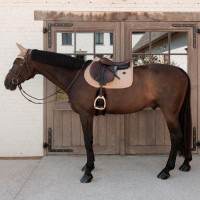 Manta de sela Kentucky Velvet Mini Pearls Jumping Bege