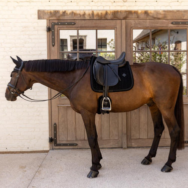 Manta de sela Kentucky velvet mini Pearls Dressage Preto Manta de sela Kentucky velvet mini Pearls Dressage Preto