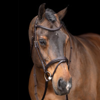 Bridon HV Polo Legacy Marrom chocolate Castanho Bridon HV Polo Legacy Marrom chocolate Castanho