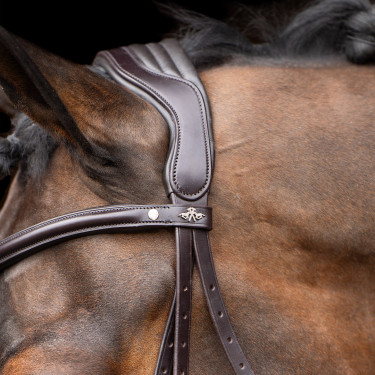 Bridon HV Polo Legacy Marrom chocolate Castanho
