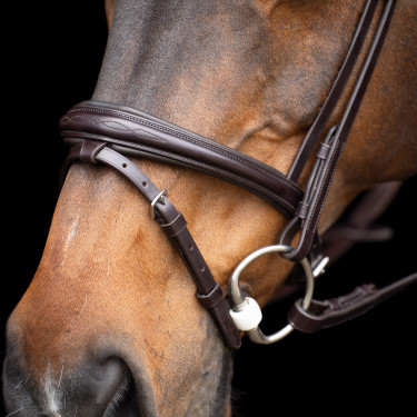 Bridon HV Polo Legacy Marrom chocolate Castanho