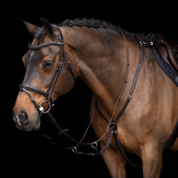 Martingale HV Polo Legacy Marrom chocolate Castanho