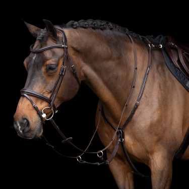 Martingale HV Polo Legacy Marrom chocolate Castanho