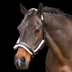 Caveção Imperial Riding Luxury Preto Caveção Imperial Riding Luxury Preto