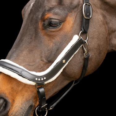 Caveção Imperial Riding Luxury Preto Caveção Imperial Riding Luxury Preto