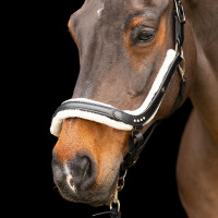 Caveção Imperial Riding Luxury Preto